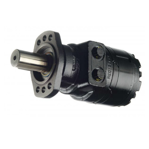 Hydraulic Motor 10039180